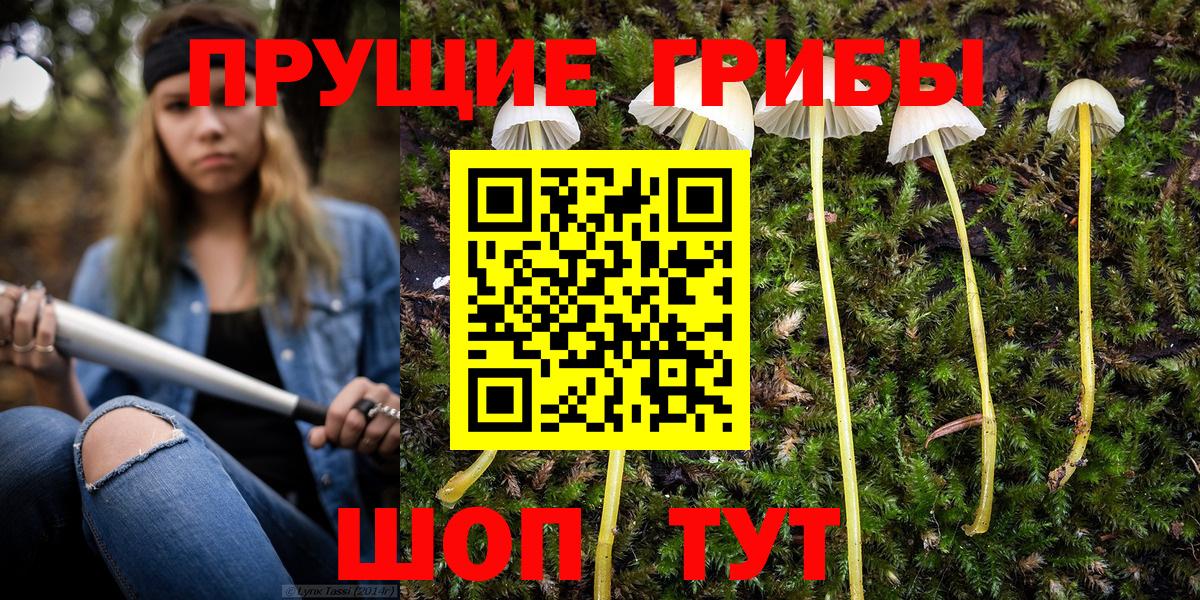 Псилоцибиновые грибы Cubensis Балашиха